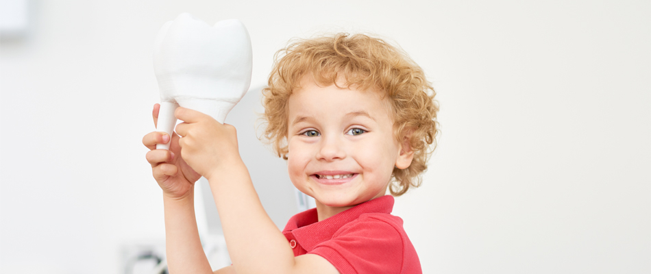 Are baby teeth important?